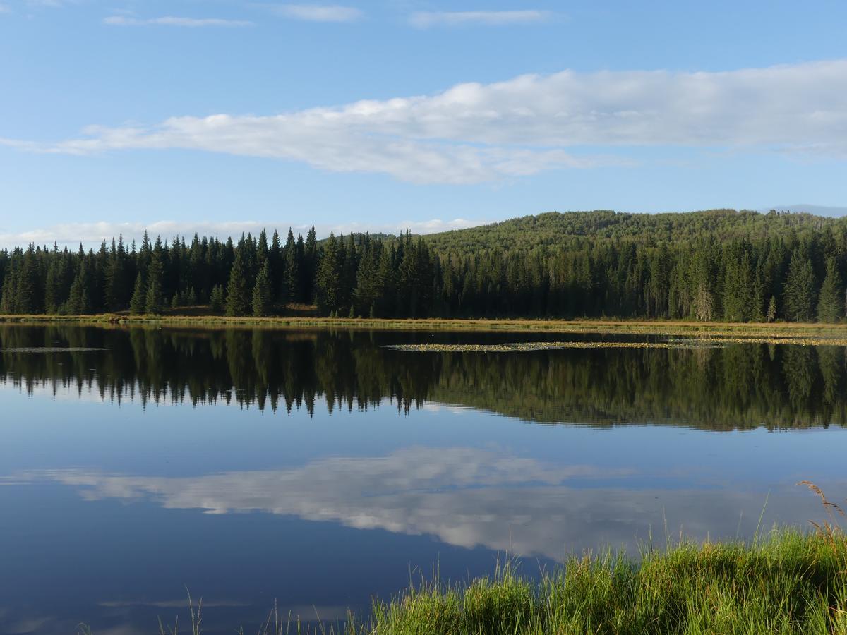 Schott'S Lake Conference & Resort Sundre ภายนอก รูปภาพ